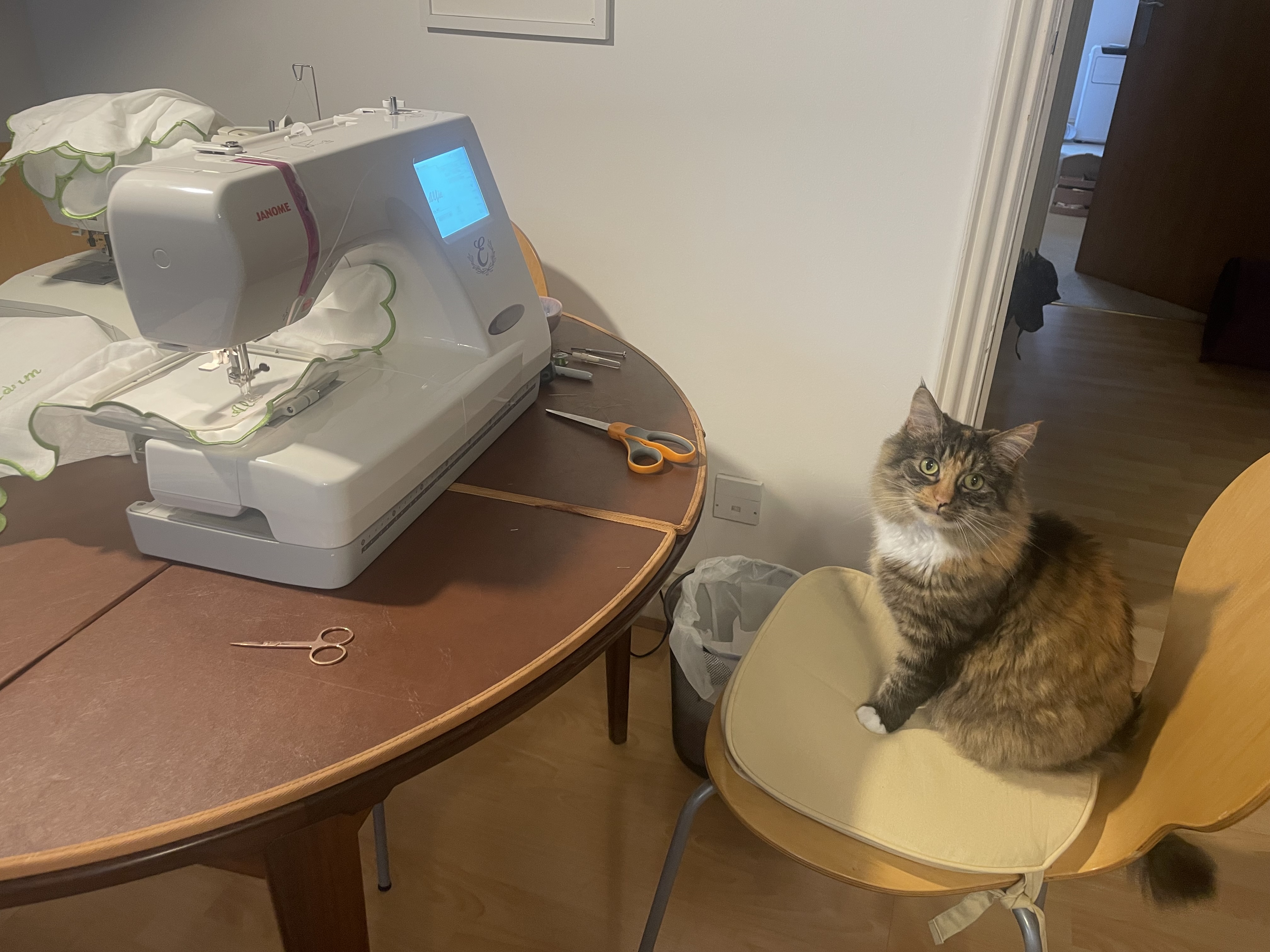 Katten Marge sitter ved siden av en leid broderimaskin brukt til bryllups-DIY.