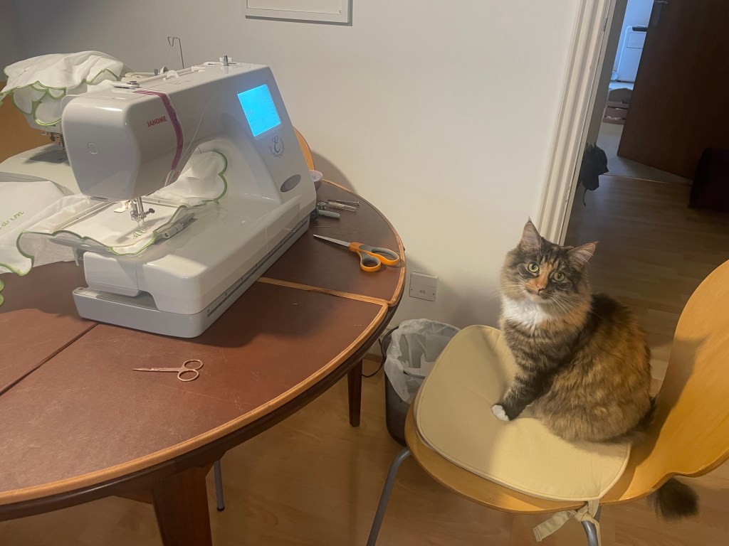 Katten Marge sitter ved siden av en leid broderimaskin brukt til bryllups-DIY.